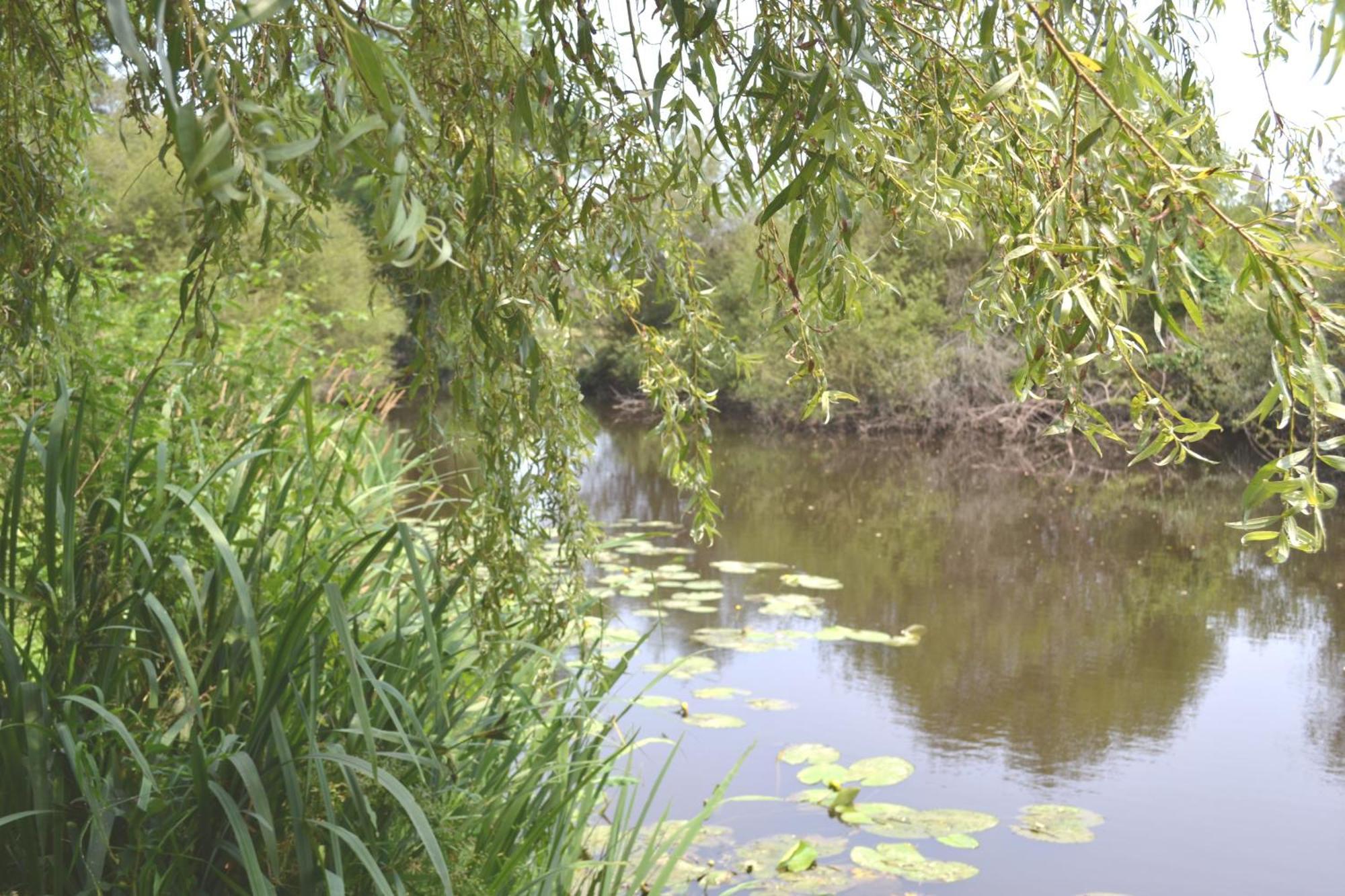 Les Bruyeres Gite Montbron Экстерьер фото